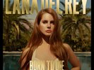 LANA DEL REY - BORN TO DIE ( THE PARADISE EDITION ) BOX SET New.  Still wrapped.