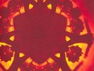 Geogaddi by Boards of Canada (2x Vinyl Record LP, 2013)
