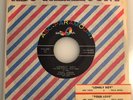 Paul Anka / Lonely Boy / 1959 Original ABC 45rpm / NM+