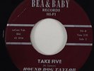 Hound Dog Taylor 