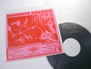 KISS LP Destroys Anaheim 1977 imp-1120 Live at Anaheim Stadium Aug-20th 1976