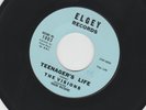 DOOWOP 45 - VISIONS - TEENAGERS LIFE  /  LITTLE MOON  - HEAR - 1960  ELGEY