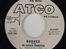 Buffalo Springfield 