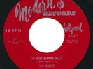 CADETS - If It Is Wrong / Do You WannA Rock - MODERN - Doo Wop R&B 45