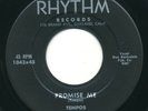 TEMPOS - Promise Me / Never Let Me Go - RHYTHM - Rare Doo Wop R&B 45