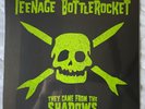 TEENAGE BOTTLEROCKET  They Came From The Shadows CLEAR & BLACK GREEN COLOR VINYL