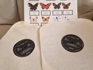 The Jam BUTTERFLY COLLECTOR Double Live Lp  vinyl records rare