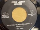 THE EVIL   WHATCHA GONNA DO ABOUT IT  LIVING LEGEND Rare Orig ‘60s FL GARAGE 45