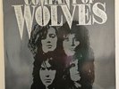 COMPANY OF WOLVES Company Of Wolves 1990 LP GLAM/HAIR METAL HARD ROCK RARE VINYL