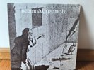 1977 BERMUDA TRIANGLE Folk/Psych/Prog Original PRIVATE LABEL Roger & Wendy