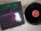 BLIND IDIOT GOD UNDERTOW VINYL RECORD