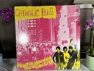 CATHOLIC BOYS 'Psychic Voodoo Mind Control LP NM- Vinyl