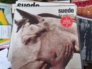 Suede - The Wild Ones  12