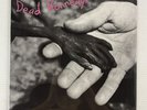 Dead Kennedys - Plastic Surgery Disasters (Record, 2003) LP Vinyl New