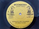 UNKNOWN RARE Ohio 70's Sweet Soul AOR Funk 45 - Dogs N' Kids 
