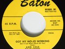 R&B Rocker 45 ANN COLE Got My Mojo Mo-jo Working BATON VG++ HEAR