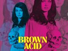Various - Brown Acid - The Sixteenth Trip NEW Sealed Vinyl LP Album