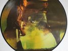 Couldn't Stand the Weather Stevie Ray Vaughan 1984 Vinyl Picture Disc Nice