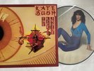 KATE BUSH Original UK ‘Remember Yourself', 'The Kick Inside’ Picture Disc MINT