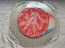 MENTAL AS ANYTHING  LETS GO TO PARADISE  *RARE* UNCUT SHAPED PICTURE DISC  MINT-