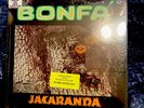 Luiz Bonfa 