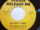 ELVIS PRESLEY. SUN 'MY BABY'S GONE'  LIMITED EDITION ORIGINAL PELVIS PRESSING EX