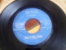 Rare Rockabilly, J.R. White and the Starbrites.  Dixie # 972    Plays OK