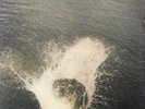 Mountain Man - Made The Harbor (LP) (G-VG/G++)