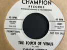 SANDY WYNNS: 