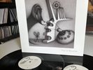 Built To Spill YOU IN REVERSE Vinyl LP Record NM