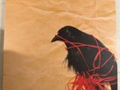 DEATH CAB FOR CUTIE – TRANSATLANTICISM - VMP RED W/BLACK MARBLE VINYL LTD VG+ 21