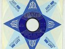Garage Fuzz 45 - Del Shannon - Move It On Over - Amy
