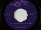 Garage Psych Fuzz 45 - Spontaneous Generation - Up In My Mind - Fevre