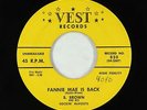 Blues R&B 45 - B. Brown & his Rockin' McVouts - Fannie Mae Is Back - Vest