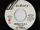 Garage Fuzz 45 - Sparkles - Hipsville 29 B.C. - Hickory - VG+