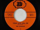 Garage 45 - Vandals - Your Love Will Die/Mary - D - VG+