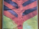 Show Your Bones by Yeah Yeah Yeah's (Record, 2006)