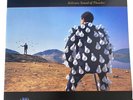 Pink Floyd - Delicate Sound Of Thunder (Vinyl 2LP - 2017 - EU - Original)