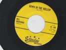 ROCKABILLY  45 - BILL BROWNING - DOWN IN THE HOLLOW - HEAR -1960 STARDAY