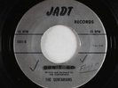 Garage/Surf 45 - Sentarians - Don't Go/Flight - Jadt - rare