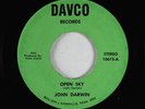 Psych 45 - John Darwin - Open Sky - Davco - unknown?