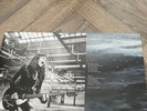 SINEAD O'CONNOR, orig 2014 vinyl album,  I'M NOT BOSSY, I'M THE BOSS,  [ EX,EX ]