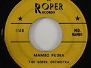 Roper Orchestra 