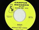 R&B Mod/Novelty Rocker 45 - Niceville High School - Eagles - Campus - obscure
