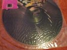 Wasp Animal F Like A Beast Vinyl