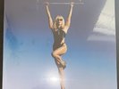 MILEY CYRUS ENDLESS SUMMER VACATION VINYL LP FIRST PRESS SEALED MINT