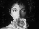 Kate Bush - Remastered in VinyI 2 - 3LP BOXSET - NEW SEE PHOTOS