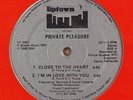 Ultra rare boogie funk Private Pleasure