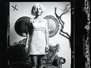 SOL SEPPY BELLS OF 1 2 NEW LP