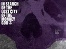 THE SORCERERS IN SEARCH OF THE LOST CITY OF THE MONKEY GOD NEW LP